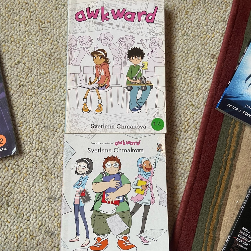 Graphic Novels Awkward & Brave